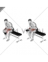 Weighted Seated Reverse Wrist Curl
