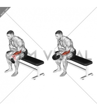Weighted Seated One Arm Reverse Wrist Curl