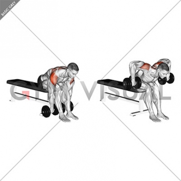 Dumbbell Seated Bent Over Rear Delt Row