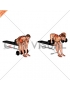 Dumbbell Seated Bent Over Rear Delt Row