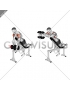 Dumbbell Incline Two Front Raise with Chest Support