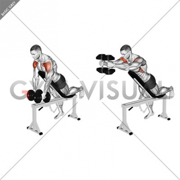 Dumbbell Incline Two Front Raise with Chest Support