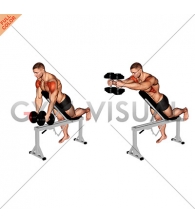 Dumbbell Incline Two Front Raise with Chest Support