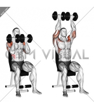 Dumbbell Seated Close Grip Press