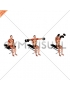 Dumbbell Seated Lateral to Front Raise