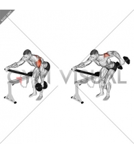 Dumbbell One Arm Reverse Fly (with support) (VERSION 2)