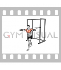 Band Standing Alternate Chest Press (male)