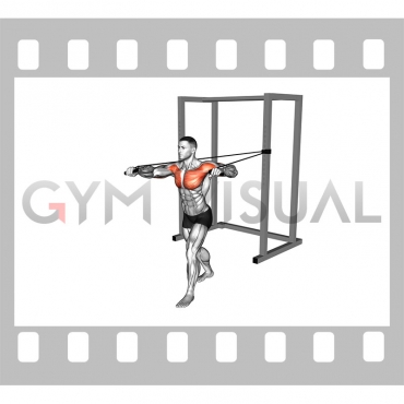 Band Standing Alternate Chest Press (male)