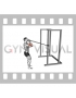 Band Horizontal Biceps Curl (male)