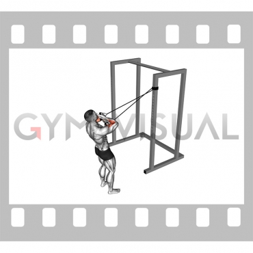 Band Cross Chest Biceps Curl (male)