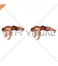 Front Plank Toe Tap (male)