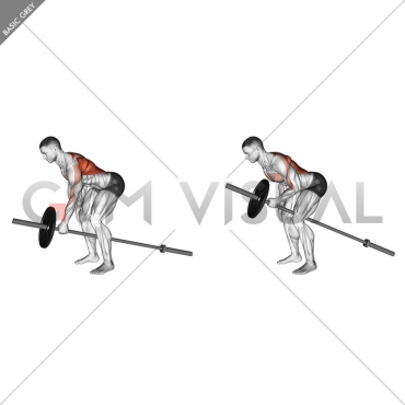 Lever One Arm Bent over Row (plate loaded)