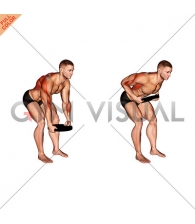 Weighted Plate Bent Over Row