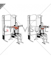 Cable Seated Chest Fly