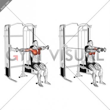 Cable Seated Chest Fly