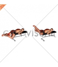 Frog Reverse Hyperextension (on a bench) (male)