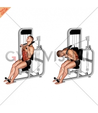 Lever Seated Full Crunch