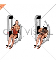 Lever Seated Left Side Crunch