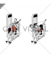 Lever Seated Right Side Crunch
