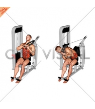 Lever Seated Right Side Crunch