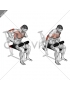 Lever Overhand Triceps Dip