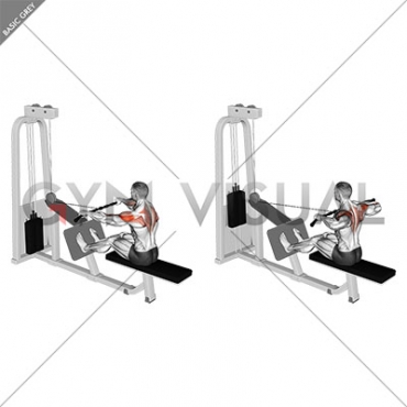 Cable Rear Delt Row