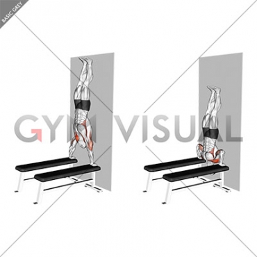 Handstand Shoulder Press with Wall (between benches)