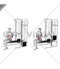 Cable Seated Cross Arm Twist