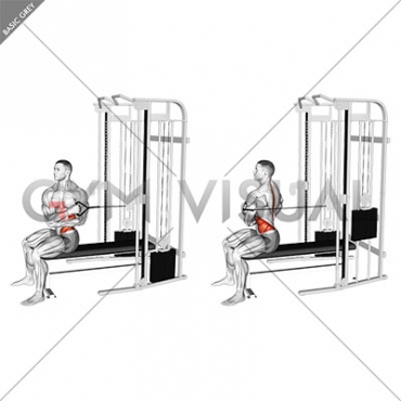 Cable Seated Cross Arm Twist