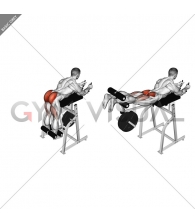 Lever Reverse Hyperextension (plate loaded)