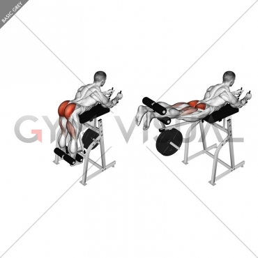 Lever Reverse Hyperextension (plate loaded)