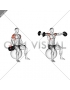 Dumbbell Seated Lateral Raise on Stability Ball