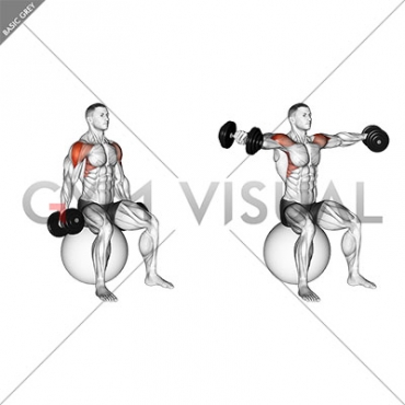 Dumbbell Seated Lateral Raise on Stability Ball