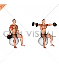 Dumbbell Seated Lateral Raise on Stability Ball
