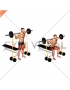 Barbell Banded Bench Squat
