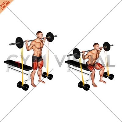 Banded barbell bench cheap press