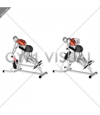 Lever Lying Banded T-bar Row