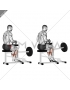 Lever Seated Calf Raise (plate loaded)