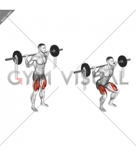 Barbell Squat with Chains