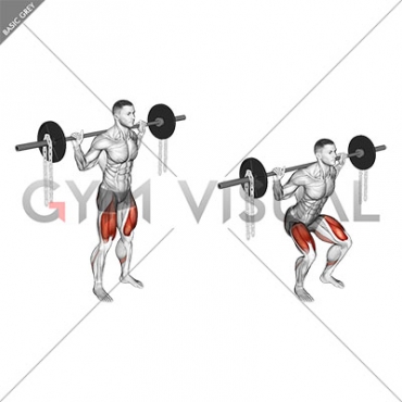 Barbell Squat with Chains