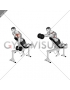 Dumbbell Incline One Arm Front Raise with Chest Support