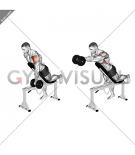 Dumbbell Incline One Arm Front Raise with Chest Support