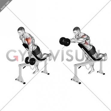 Dumbbell Incline One Arm Front Raise with Chest Support