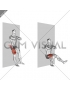 Bodyweight Single Leg Wall Squat