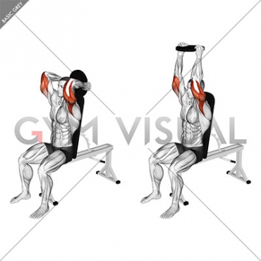 Weighted Seated Triceps Extension (male)