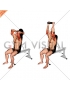 Weighted Seated Triceps Extension (male)