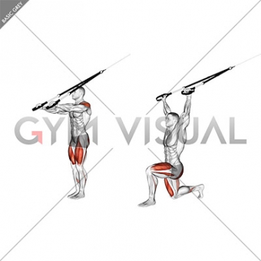 Suspender Forward Lunge with Rear Fly (male)