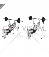 Barbell Incline Shoulder Raise