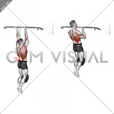 Weighted Chin-Up (male)