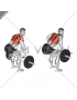 Trap Bar Bent Over Row (male)
